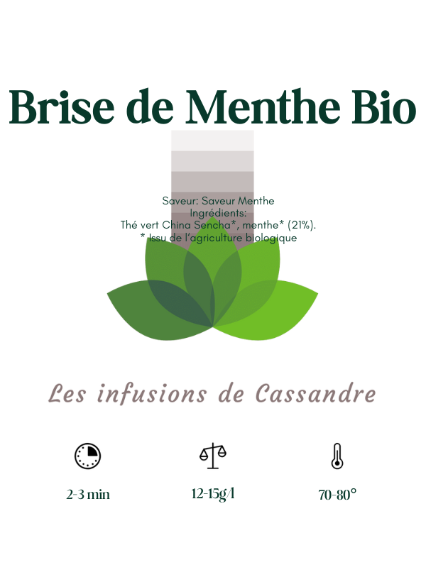Brise de Menthe Bio Saveur: Menthe