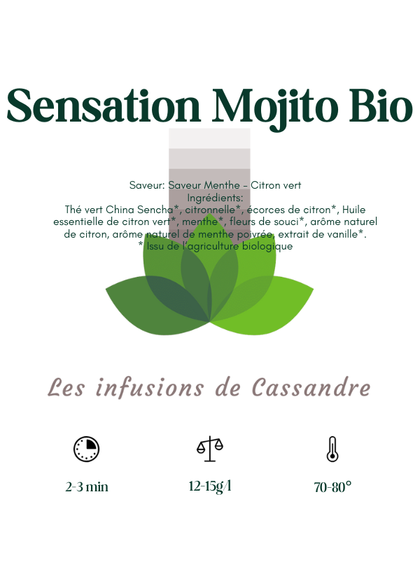 Sensation Mojito Bio Saveur: Menthe - Citron vert