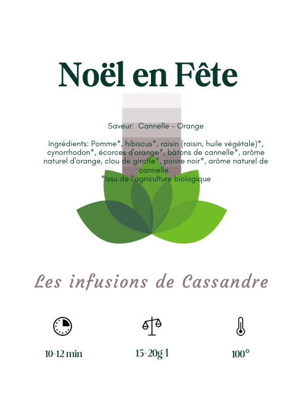Noël en Fête Saveur: Cannelle - Orange