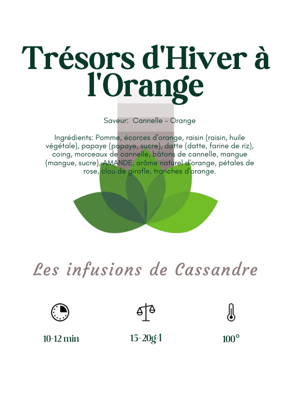 Trésors d'Hiver à l'Orange Saveur: Cannelle - Orange