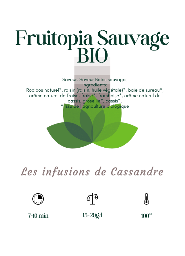 Fruitopia Sauvage BIO Saveur: Baies sauvages