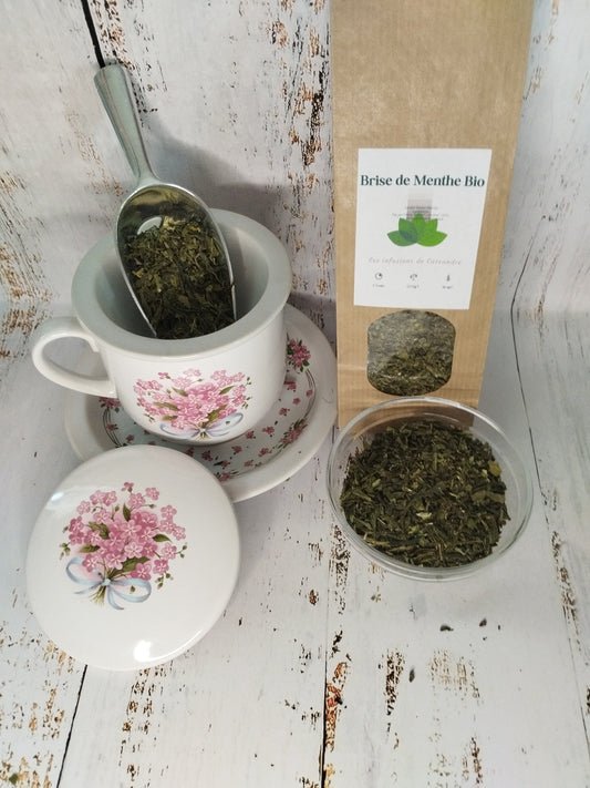 Brise de Menthe Bio Saveur: Menthe
