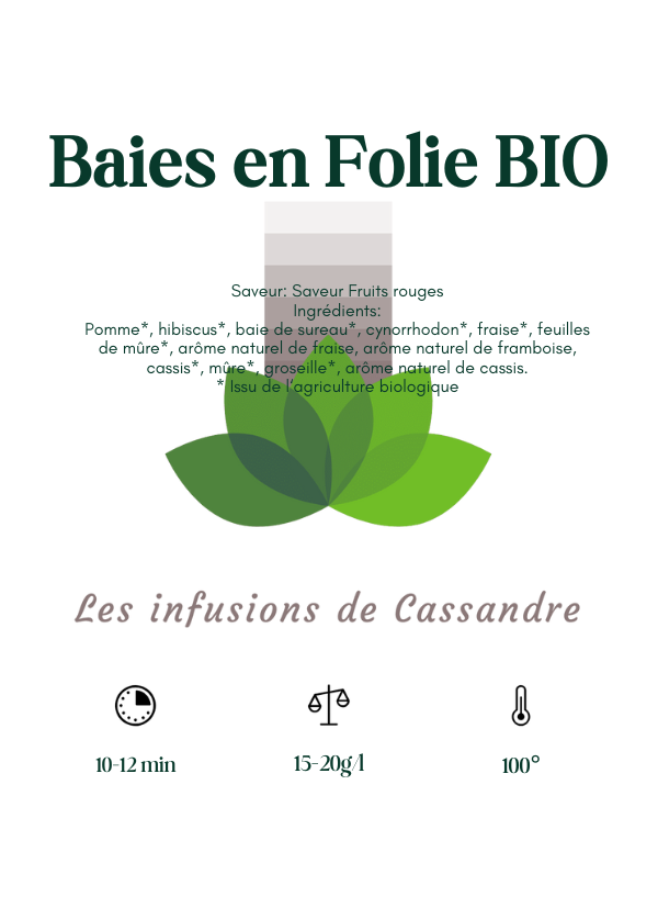 Baies en Folie BIO Saveur:  Fruits rouges